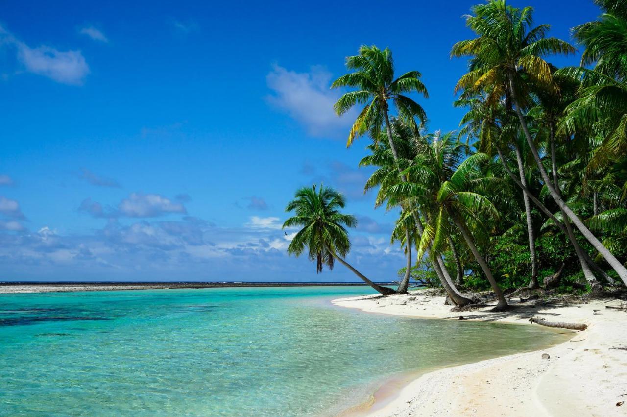Ninamu Resort Tikehau Kültér fotó