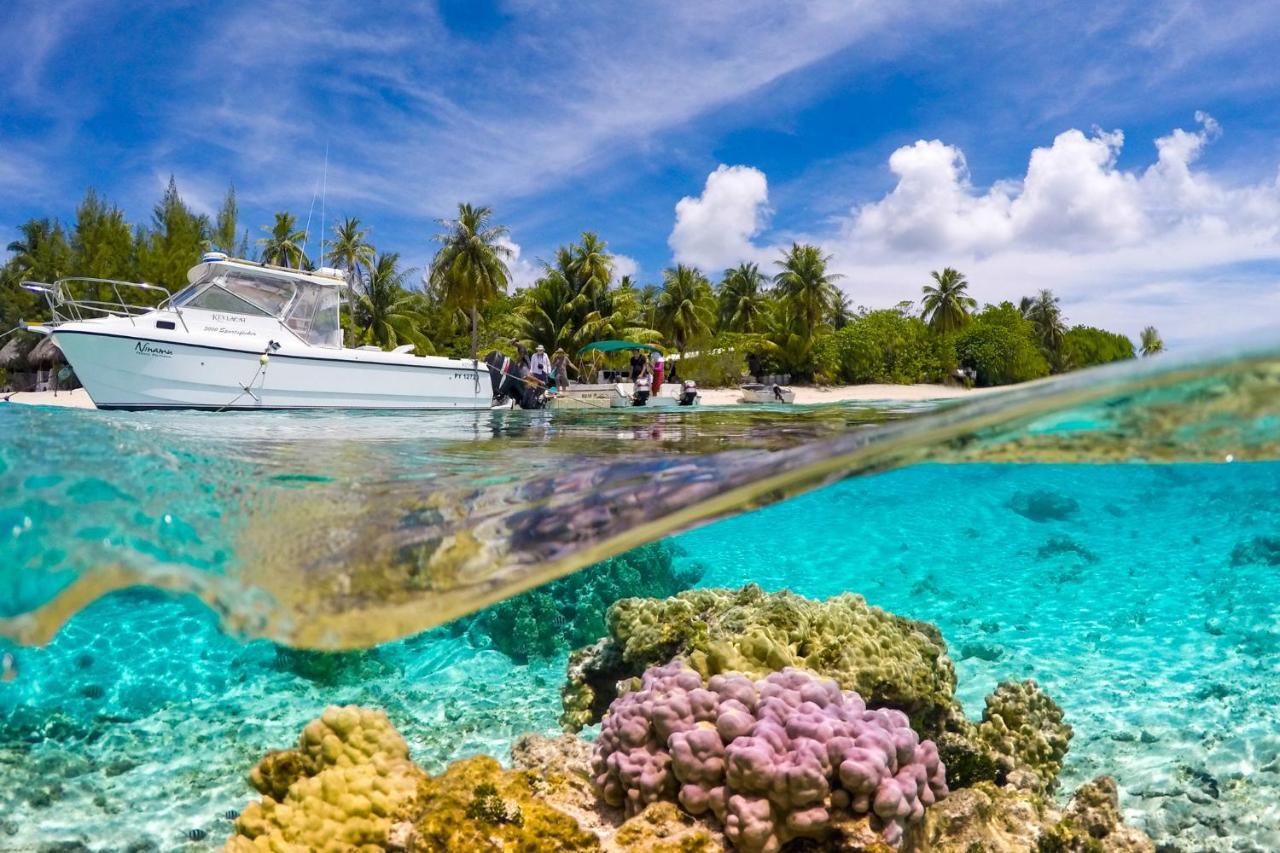 Ninamu Resort Tikehau Kültér fotó