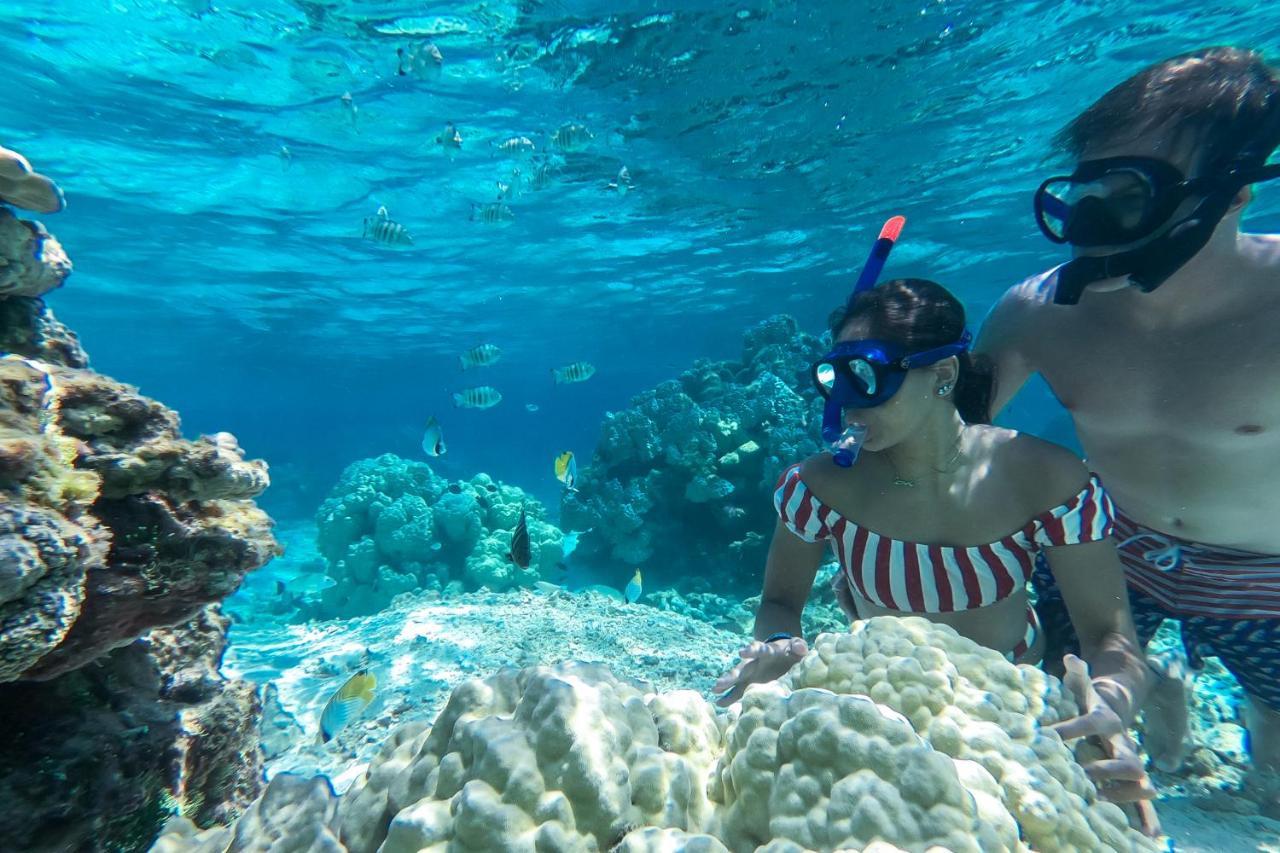 Ninamu Resort Tikehau Kültér fotó